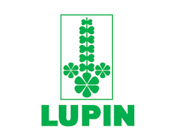 Lupin